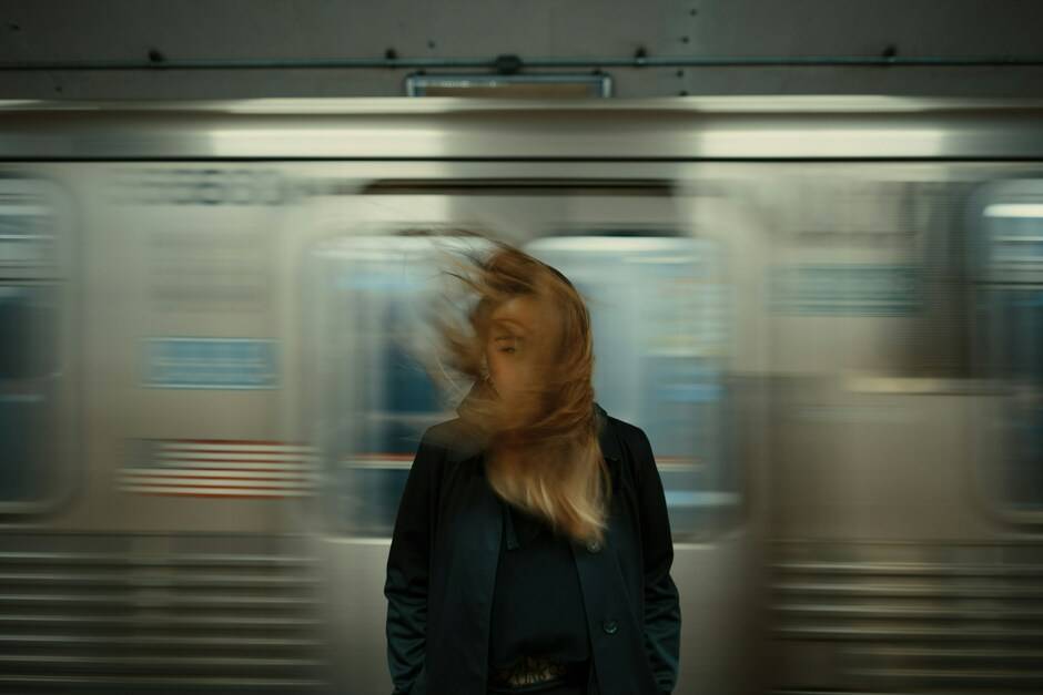 The Journey, 2019